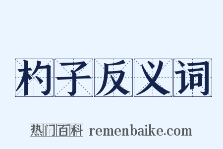 杓子反义词是什么意思的图片